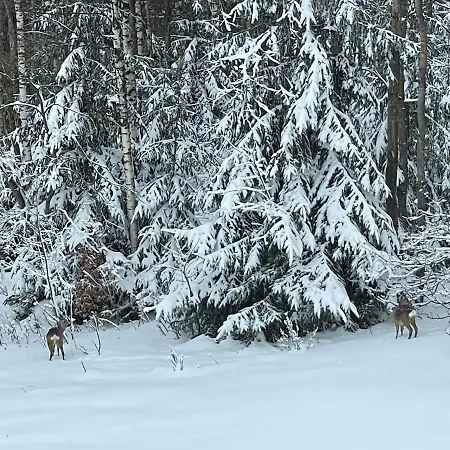 Apartman Widokowka - 9