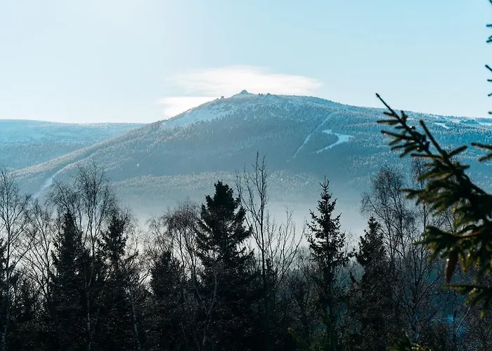 Widokowka - 9 Apartman *